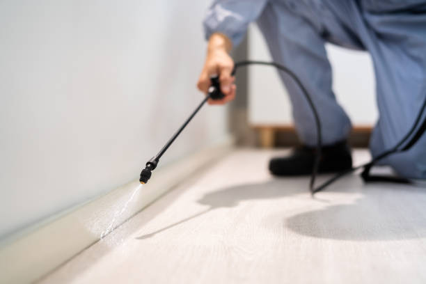 Bed Bug Pre-Treatment Preparation Assessment in Metamora