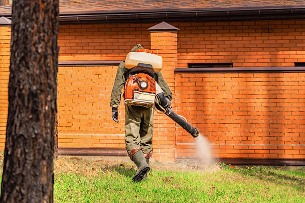 Bed Bug Clearance Verification and Documentation in Metamora